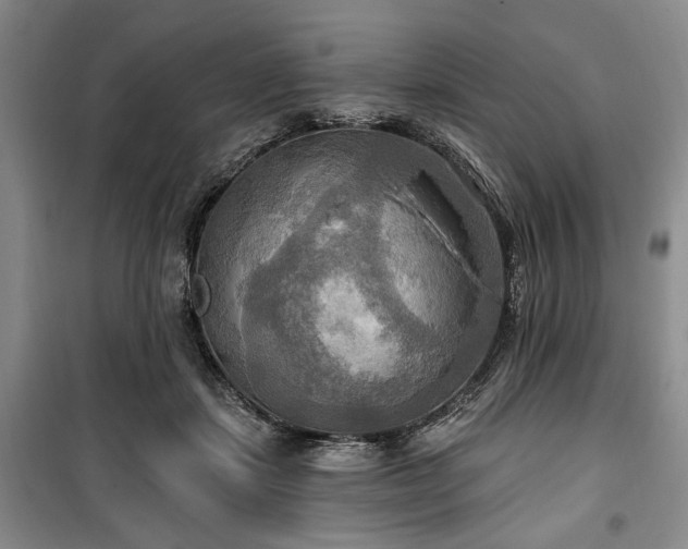 X0000100470459200806131131