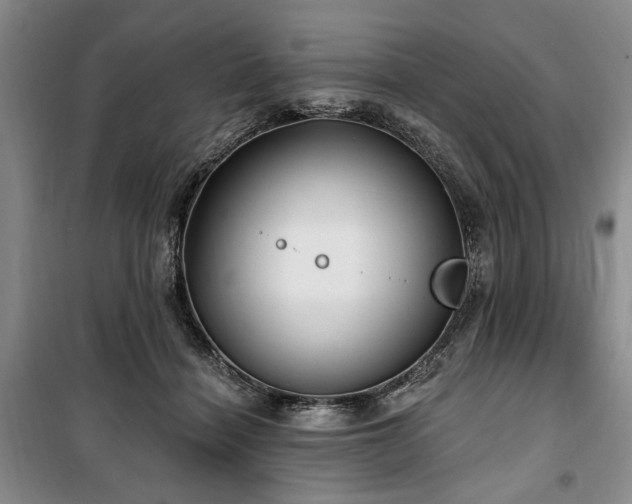 X0000100470460200806131131