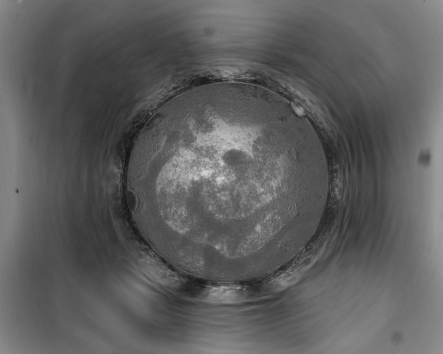 X0000100470461200806131131