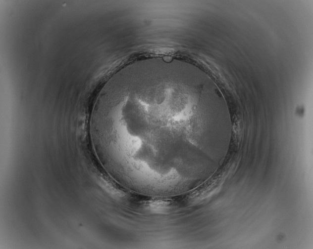 X0000100470462200806131131