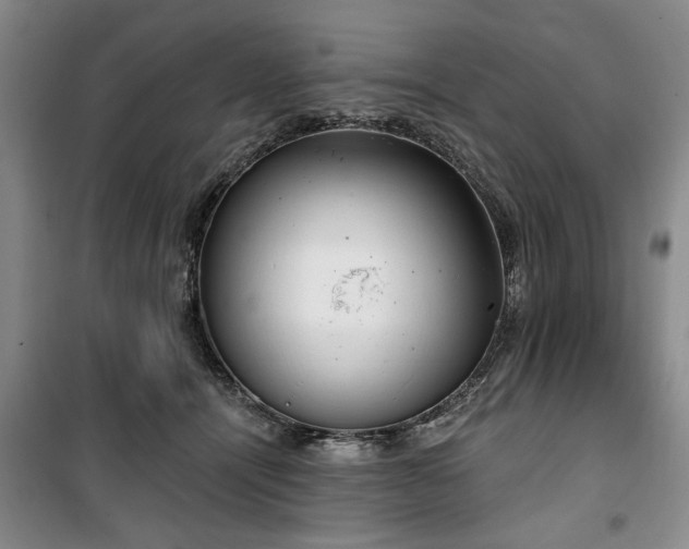 X0000100470464200806131131