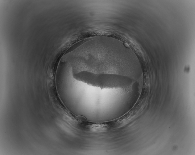 X0000100470465200806131131