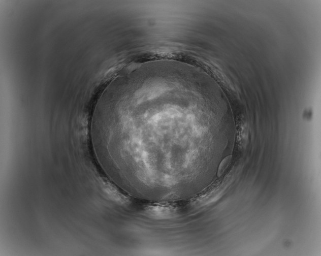 X0000100470466200806131131