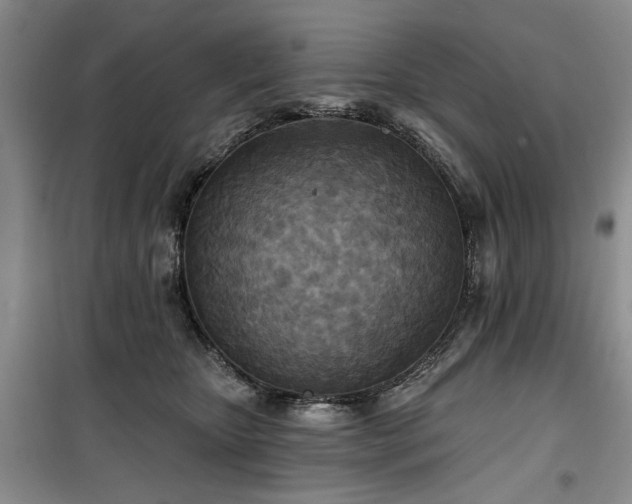 X0000100470467200806131131