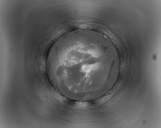 X0000100470469200806131131