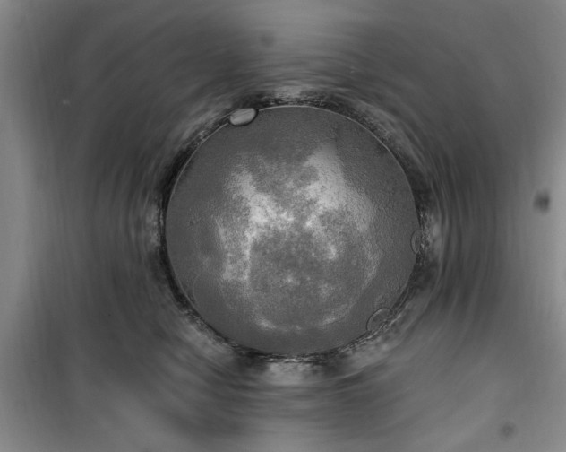 X0000100470470200806131131