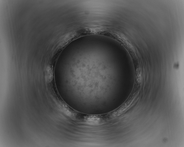 X0000100470471200806131131