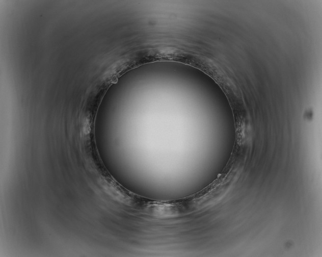 X0000100470472200806131131