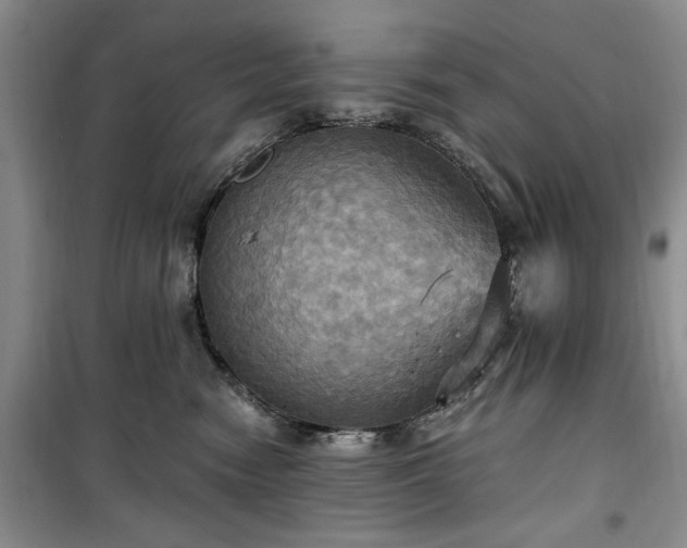 X0000100470474200806131131