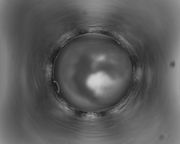 X0000100470475200806131131