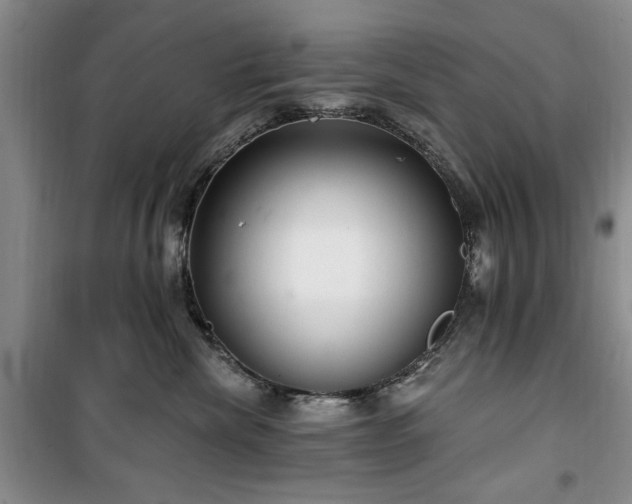 X0000100470476200806131131