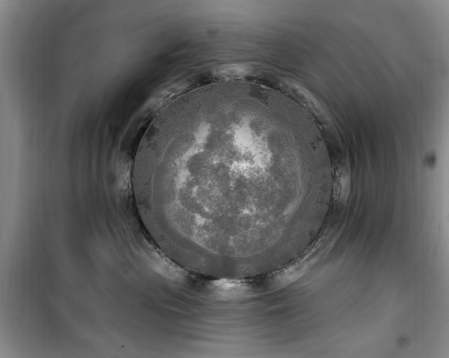 X0000100470477200806131131