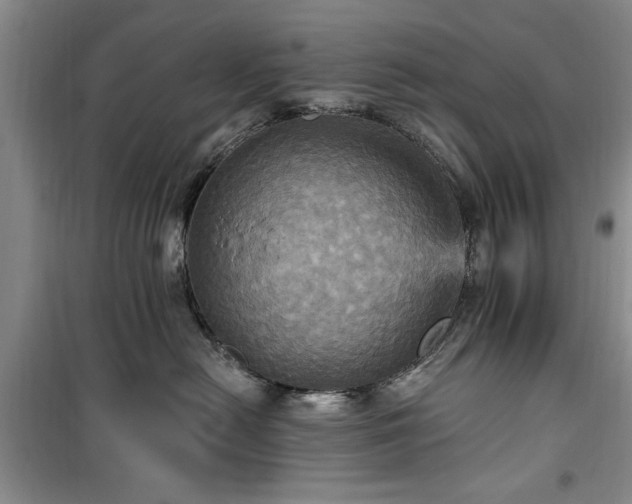 X0000100470478200806131131