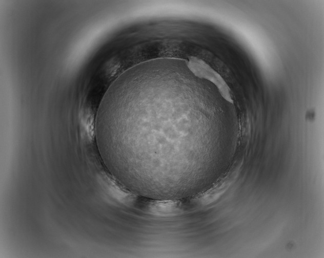 X0000100470479200806131131