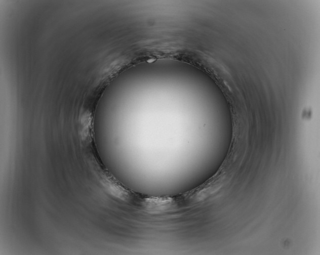 X0000100470480200806131131