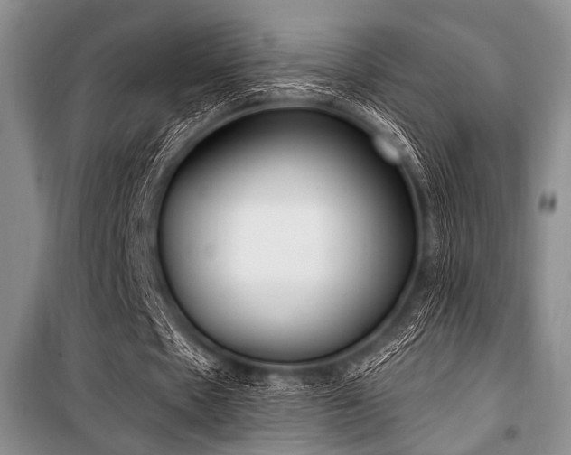 X0000100470481200806131130