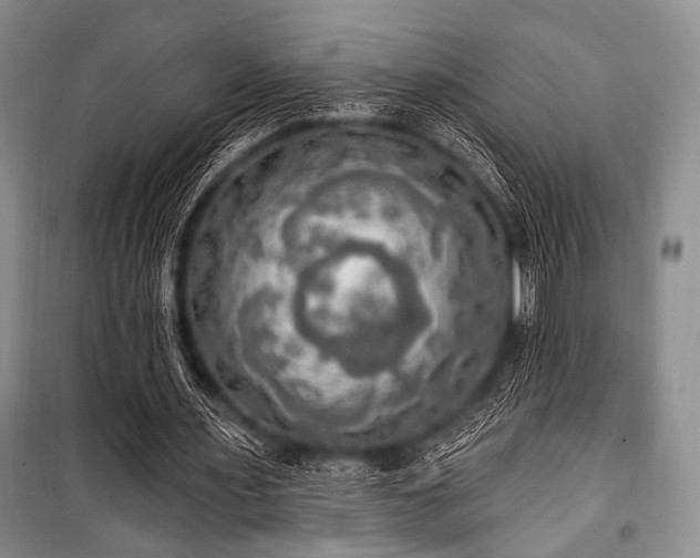 X0000100470483200806131130