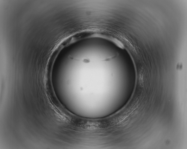 X0000100470484200806131130