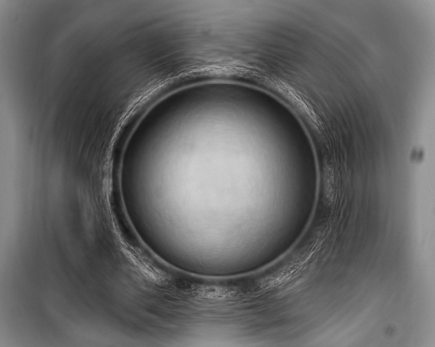 X0000100470486200806131130