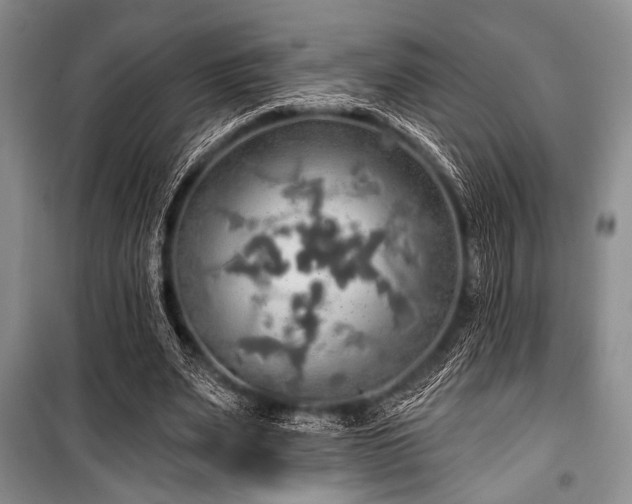 X0000100470487200806131130