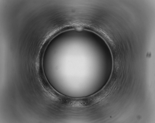 X0000100470488200806131130