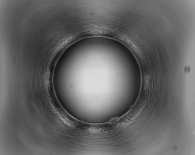 X0000100470490200806131130