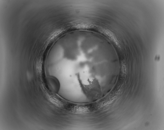 X0000100470491200806131130