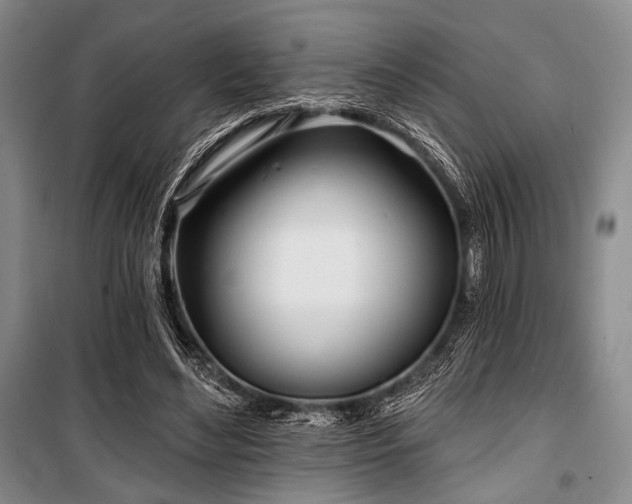 X0000100470492200806131130