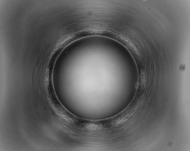 X0000100470494200806131130