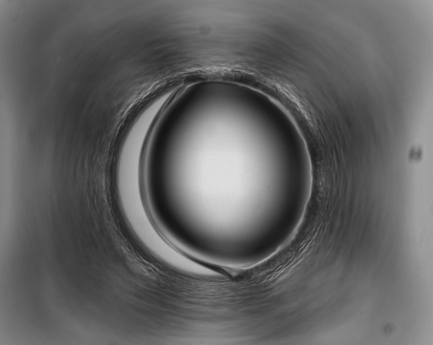 X0000100470495200806131130