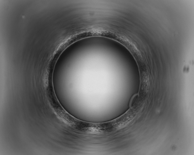 X0000100470496200806131130