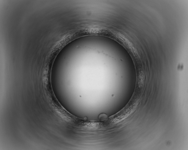 X0000100470497200806131130