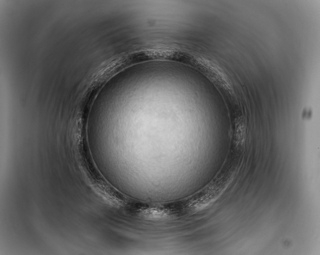 X0000100470498200806131130