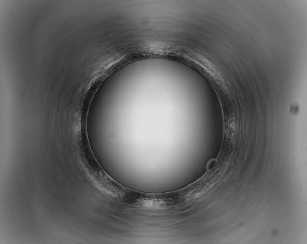 X0000100470500200806131130