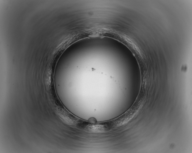 X0000100470501200806131130