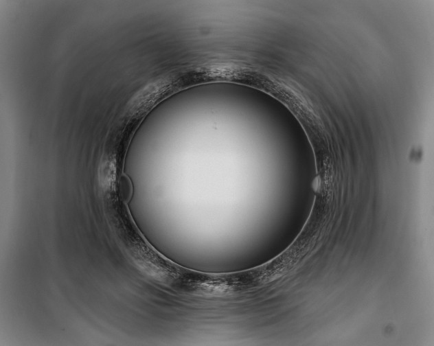 X0000100470502200806131130