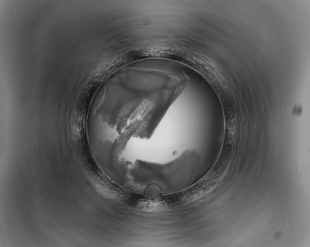 X0000100470503200806131130