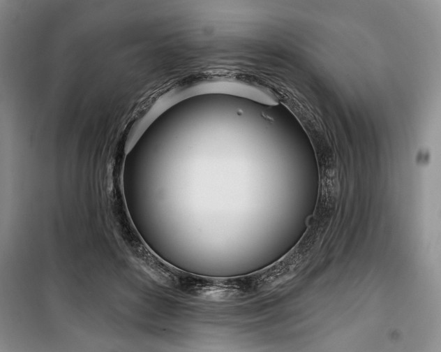 X0000100470504200806131130