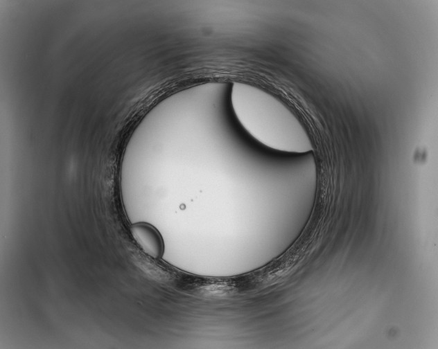 X0000100470505200806131130