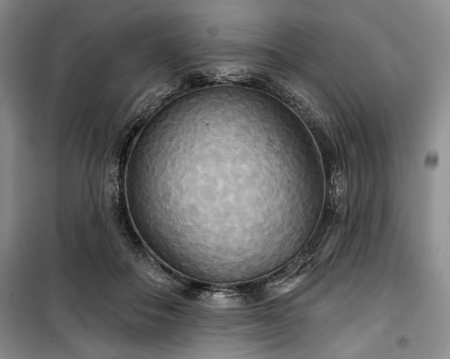 X0000100470506200806131130