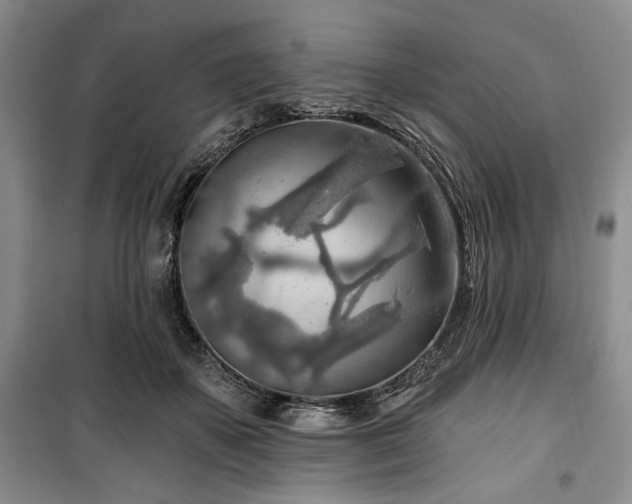 X0000100470507200806131130