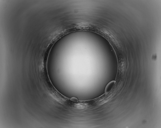 X0000100470508200806131130