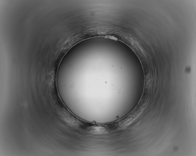 X0000100470509200806131130