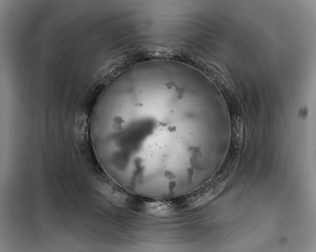 X0000100470511200806131130