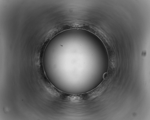 X0000100470512200806131130