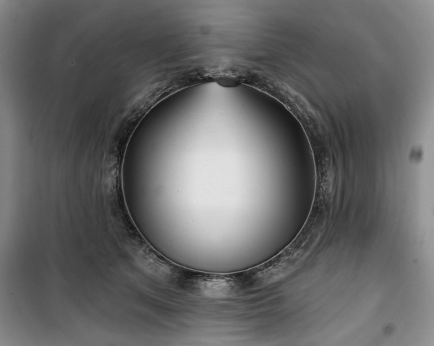 X0000100470513200806131130