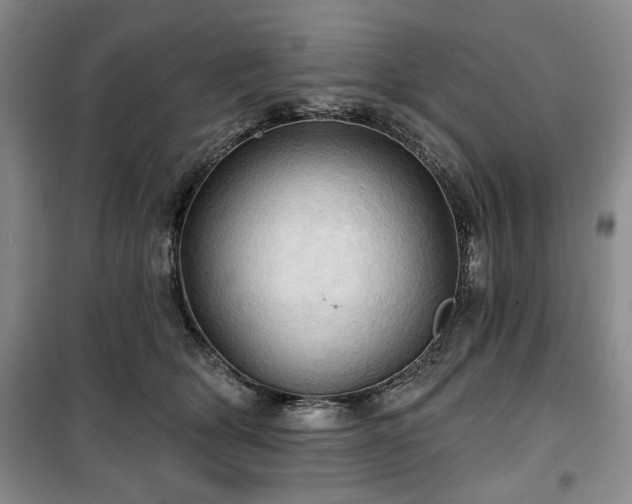 X0000100470514200806131130