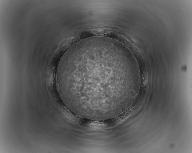 X0000100470515200806131130