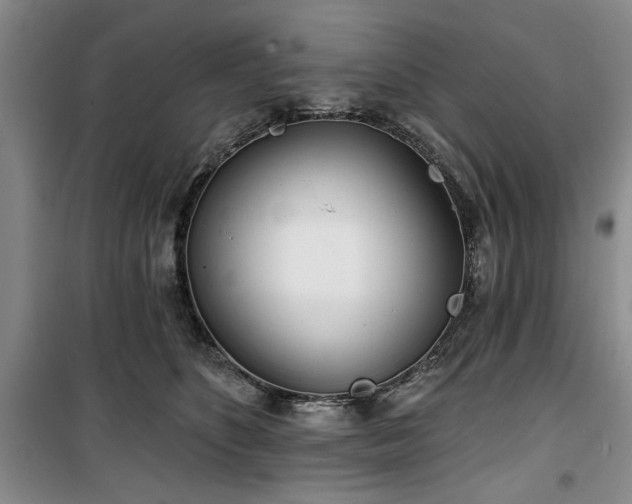 X0000100470516200806131130