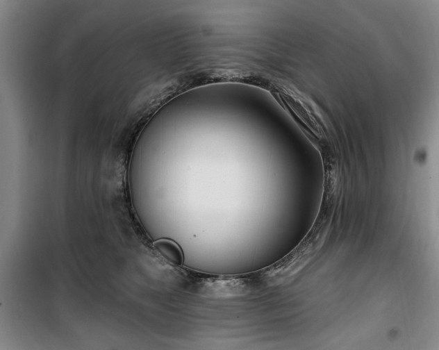 X0000100470517200806131130